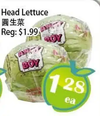 Food Depot Supermarket Head Lettuce offer