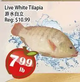 Food Depot Supermarket Live White Tilapia offer