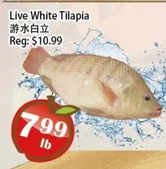 Food Depot Supermarket Live White Tilapia offer
