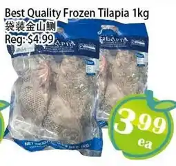 Food Depot Supermarket Best Quality Frozen Tilapia offer