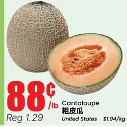Terra Foodmart Cantaloupe offer