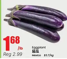 Terra Foodmart Eggplant offer