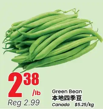 Terra Foodmart Green Bean offer