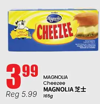 Terra Foodmart MAGNOLIA Cheezee offer