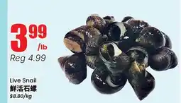 Terra Foodmart Live Snail offer
