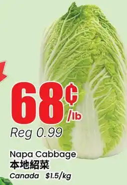 Terra Foodmart Napa Cabbage offer