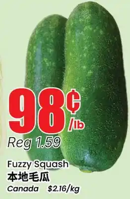 Terra Foodmart Fuzzy Squash offer