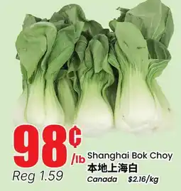 Terra Foodmart Shanghai Bok Choy offer