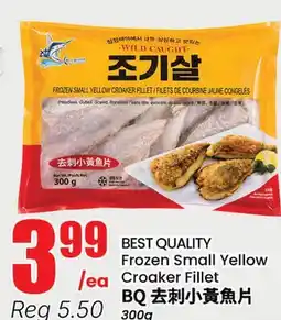 Terra Foodmart BEST QUALITY Frozen Small Yellow Croaker Fillet offer