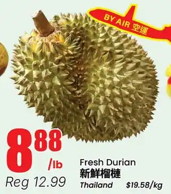 Terra Foodmart Fresh Durian offer