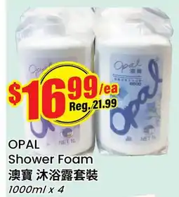Terra Foodmart OPAL Shower Foam offer