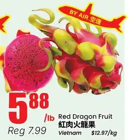 Terra Foodmart Red Dragon Fruit offer