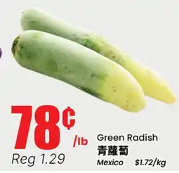 Terra Foodmart Green Radish offer