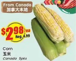 Terra Foodmart Corn offer