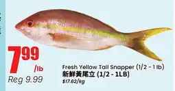 Terra Foodmart Fresh Yellow Tail Snapper offer