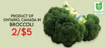 Fiesta Farms PRODUCT OF ONTARIO, CANADA #1 BROCCOLI offer