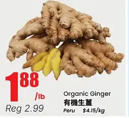 Terra Foodmart Organic Ginger offer