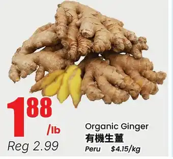 Terra Foodmart Organic Ginger offer