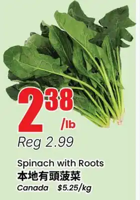 Terra Foodmart Spinach with Roots offer
