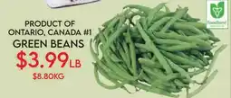 Fiesta Farms PRODUCT OF ONTARIO, CANADA #1 GREEN BEANS offer