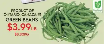 Fiesta Farms PRODUCT OF ONTARIO, CANADA #1 GREEN BEANS offer
