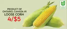 Fiesta Farms PRODUCT OF ONTARIO, CANADA #1 LOOSE CORN offer
