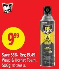 Canadian Tire Raid Wasp & Hornet Foam offer