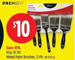 Canadian Tire PREMIER Mixed Paint Brushes offer
