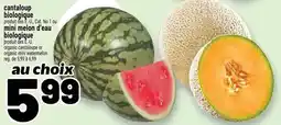 Metro cantaloup biologique offer