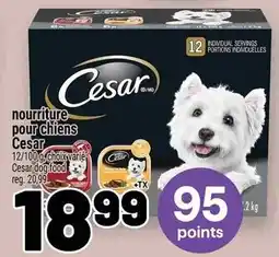 Metro nourriture pour chiens Cesar offer