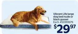 Walmart Vibrant Life large dog bed nude or black gusset offer