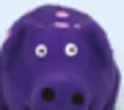 Walmart Vibrant Life dog toys offer
