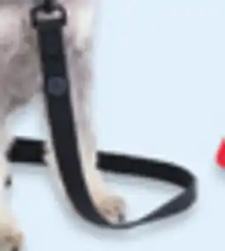 Walmart One Paw dog leashes offer