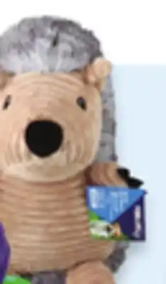 Walmart Vibrant Life dog toys offer