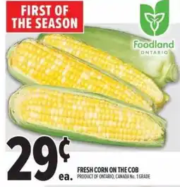 Metro Fresh corn on the cob offer