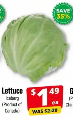 Iqbal Foods Lettuce offer