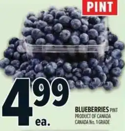 Metro Blueberries pint offer