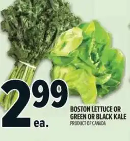 Metro Boston lettuce or green or black kale offer