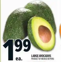 Metro Large avocados offer