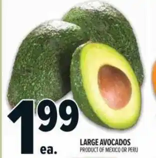 Metro Large avocados offer