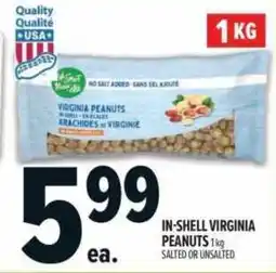 Metro In-shell virginia peanuts offer