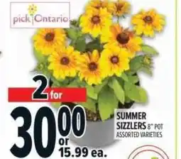 Metro Summer sizzlers offer