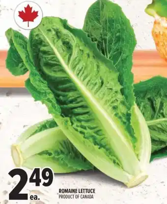 Metro Romaine lettuce offer