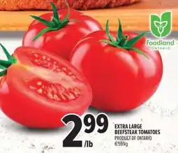 Metro Extra large beefsteak tomatoes offer