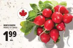 Metro Bunch radish offer