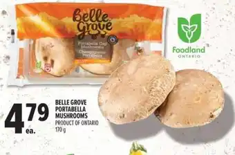 Metro Belle grove portabella mushrooms offer