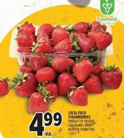 Metro Local field strawberries offer