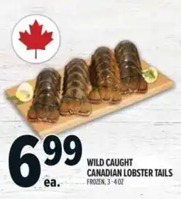 Metro Wild caught canadian lobster tails offer