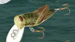 Cabela's Rebel Crickhopper offer