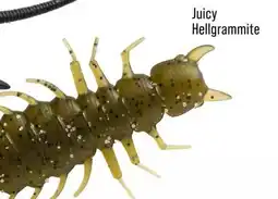 Cabela's Great Lakes Juicy Hellgrammite offer